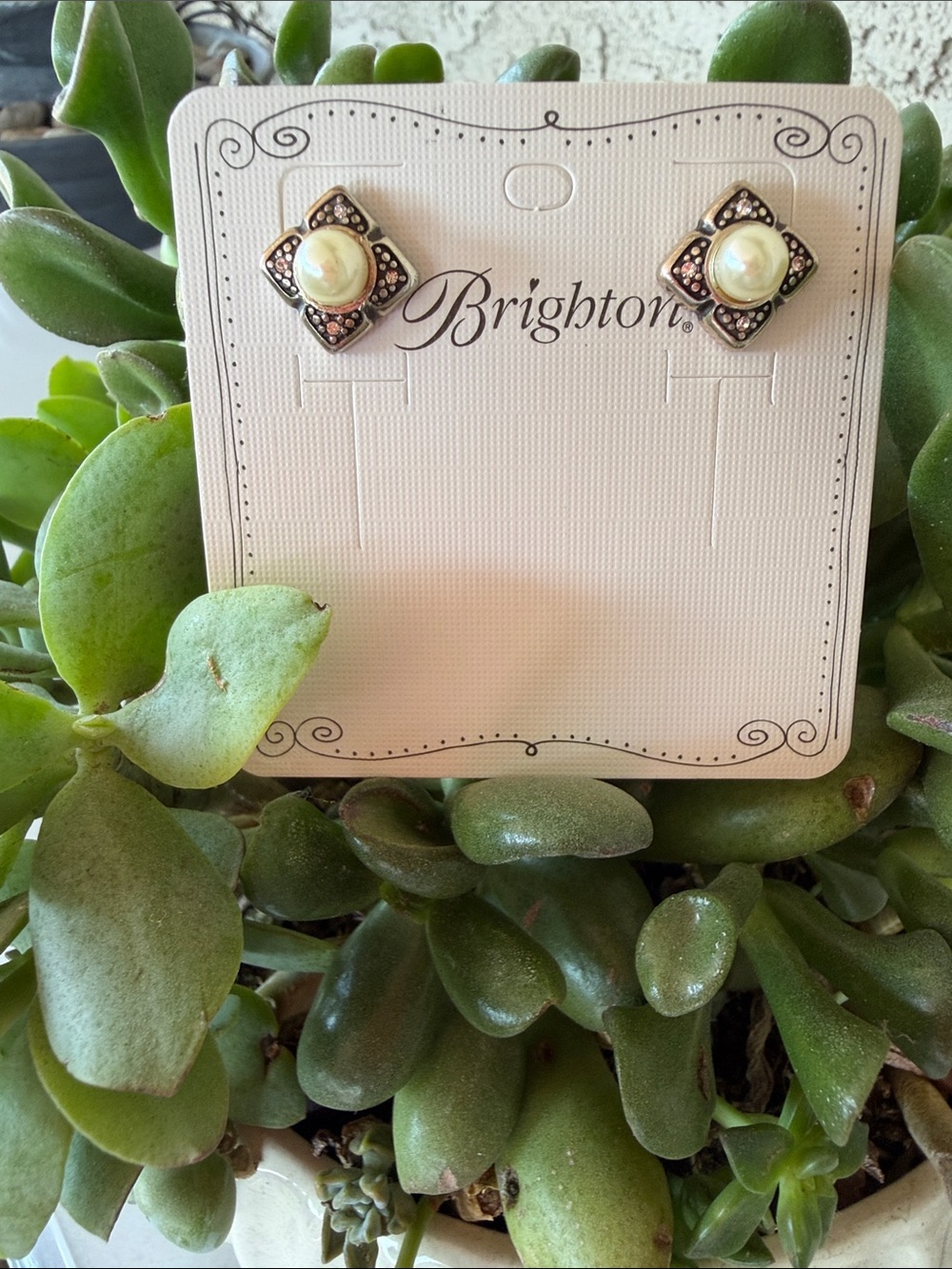 Brighton Silver-Tone Stud Earrings with Faux Pearl Centers